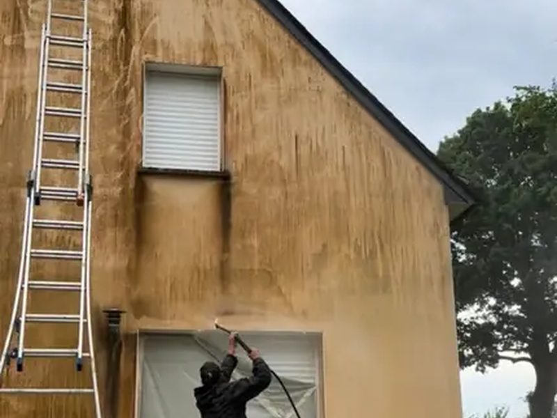 Traitement anti-mousse préventif des murs à Vannes